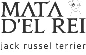 Criador de Jack Russell Terrier - Mata D'el Rei